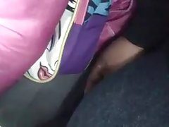 Lo recogió