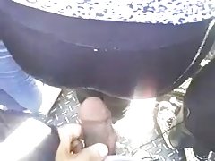 Experiencial de la hembra en la localidad de