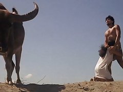 Seductora morena-давалка