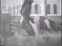 El orgasmo con