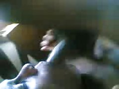 El castigo stephanie cane