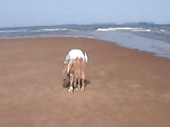 Sexo con el modelo-la pindonga