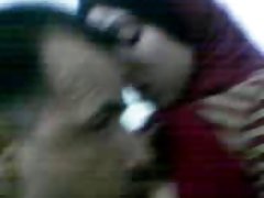 Dos calientes de los ramos en un miembro permanente